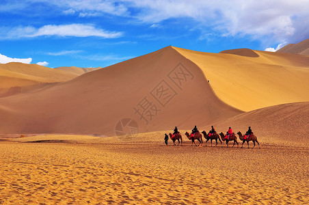 沙漠探索马背高清图片