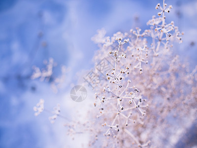 恶搞童话素材雾松冰雪童话背景