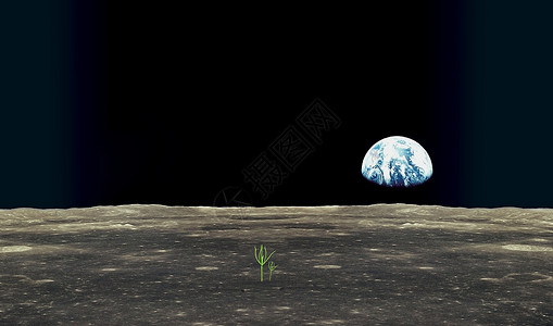 干涸的月球强大的生命设计图片