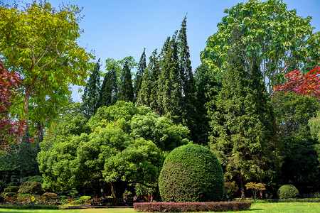 街角长椅风景背景