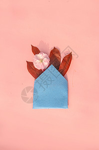 粉蓝色唯美花瓣红色叶子 蓝色信封 樱花背景
