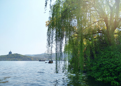 湖水树和山西湖背景