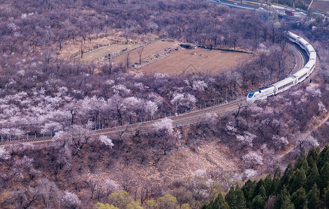 桃花农村开往春天的列车背景