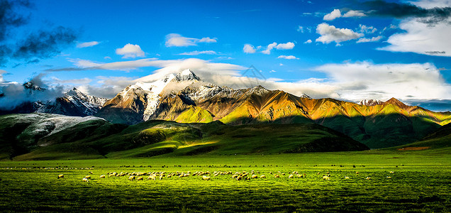 自然牧场雪山背景