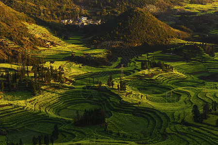 冰与火之歌田园之歌背景