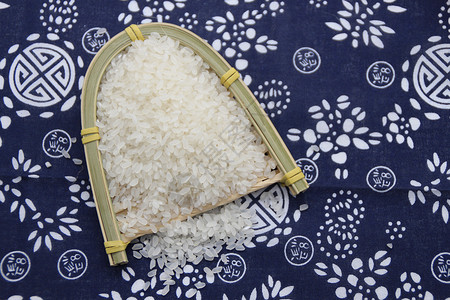 大米 白大米 圆粒米图片