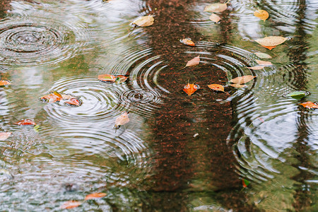 水雨水中涟漪落叶背景