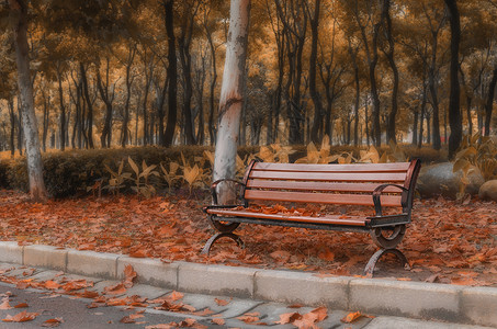 秋天公园椅子长椅背景图片