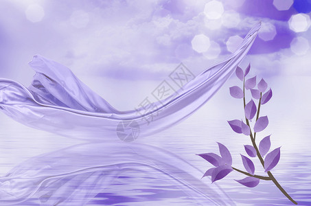 白色紫色美丽紫光花朵设计图片