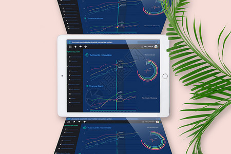 ipad数据图片