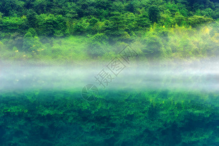 树林风景图东江湖雾气绿色树林背景