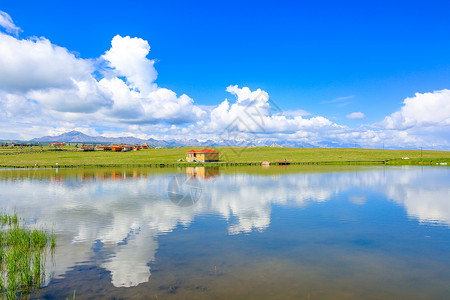 裕固族夏日康乐草原背景