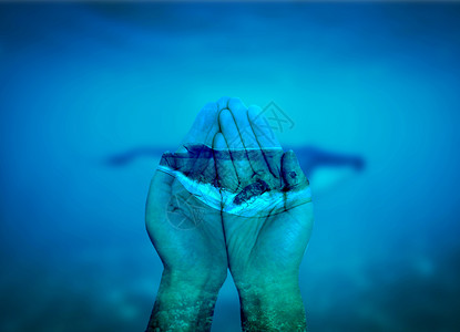 保护鲸鱼-双手捧鲸鱼背景图片