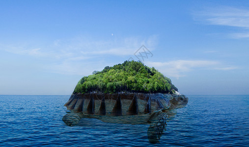 海龟岛岛屿卫生高清图片