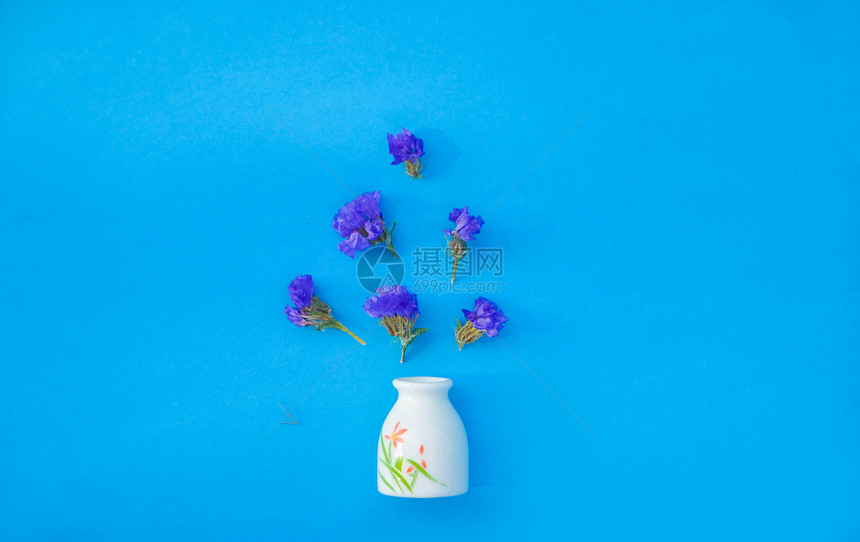 蓝色背景上的小野花图片