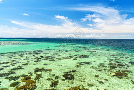 海星和海草蓝天白云大海风光背景