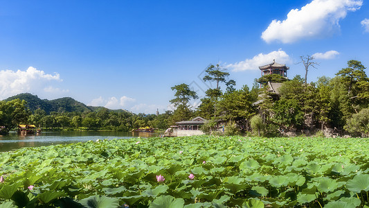 皇家空军承德避暑山庄的松涛阁荷花池背景