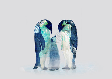 企鹅冰川企鹅设计图片