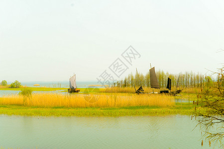 太湖湿地太湖国家湿地公园  帆船与湖畔背景