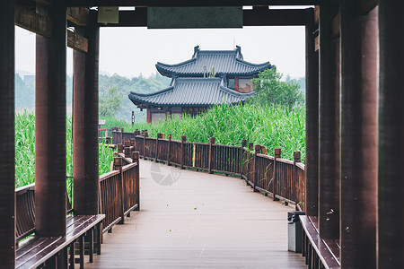 绿色氧吧德清下渚湖湿地背景