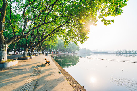 杭州风景杭州西湖清晨背景