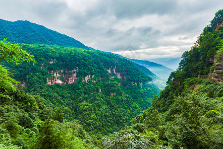 护眼绿色夏天雨后的山林背景