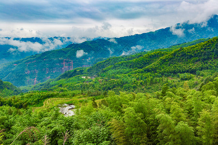 护眼绿色山林间的别墅背景