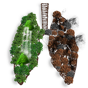 绿色健康的肺抽象创意合成肺部图片设计图片