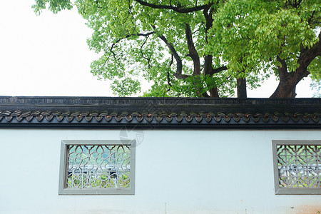 杭州植物园外墙高清图片