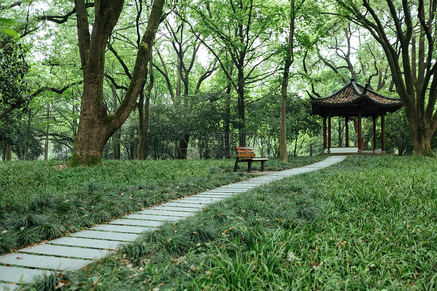 植物园休闲绿色风景图片