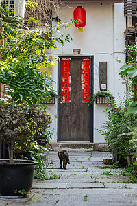 杭州小河直街上古朴的门背景图片