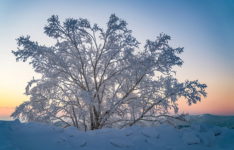 雪乡日出雪乡行背景