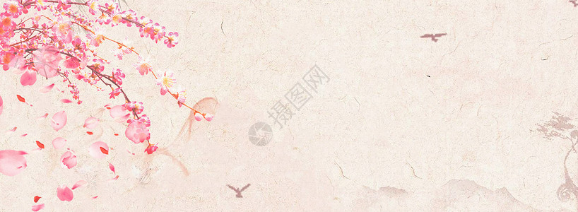 彩色花朵桃花落叶banner背景设计图片