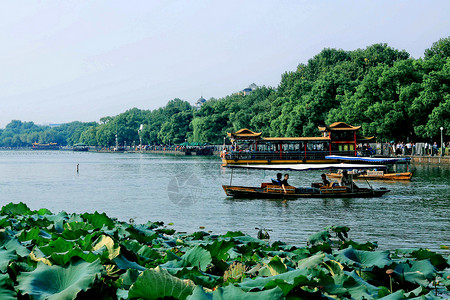 岛上巴尔博亚杭州西湖背景