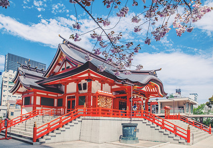 暖春行动日本花园神社赏樱花背景