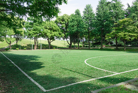 校园大学足球场草地绿的图片