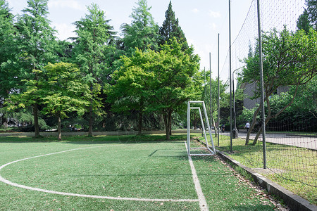 校园大学足球场草地绿的背景图片