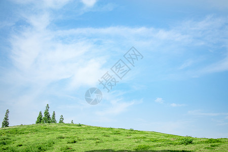 蓝天下的草坪背景图片