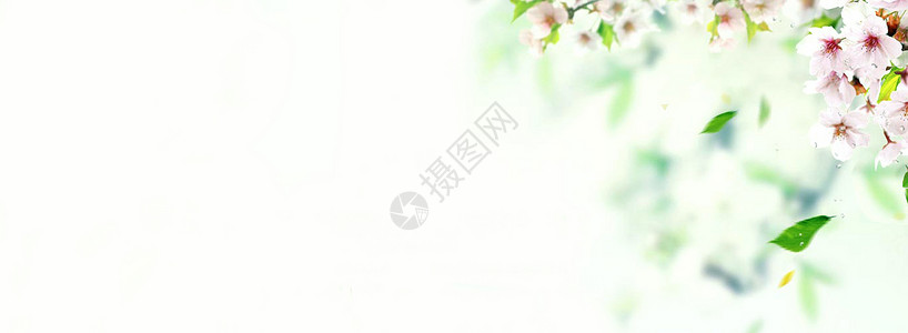 春banner背景图片