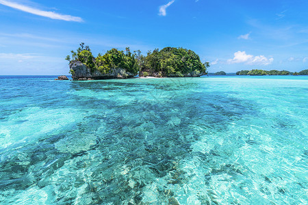 蛟龙出海蔚蓝色阳光大海背景