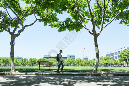 夏季毕业季毕业季大学校园林荫道背景