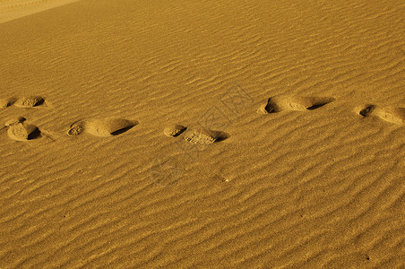 沙漠中的一串脚印背景图片