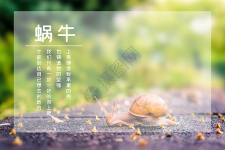蜗牛励志海报背景图片