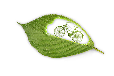 树叶上的单车背景图片