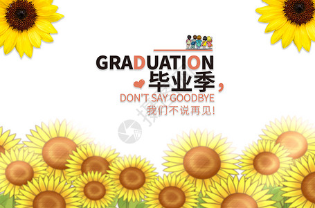手绘雏菊向日葵毕业季设计图片