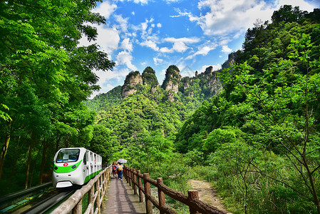 高清绿树蓝天张家界十里画廊背景