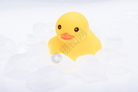 夏季小黄鸭放在冰块里的小黄鸭背景