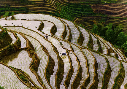 冰与火之歌劳动者之歌背景