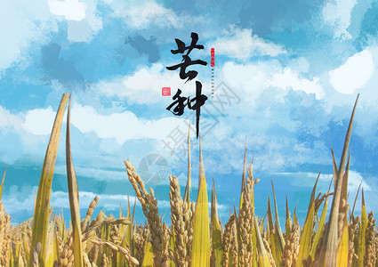 水墨稻田二十四节气 芒种 海报设计图片