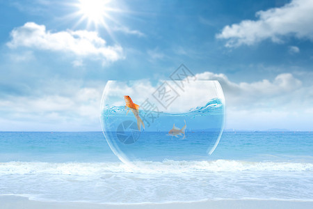 玻璃海滩海边鱼缸设计图片